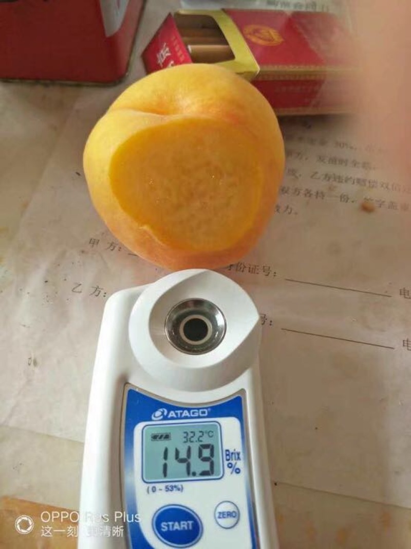 秋彤80cm以上