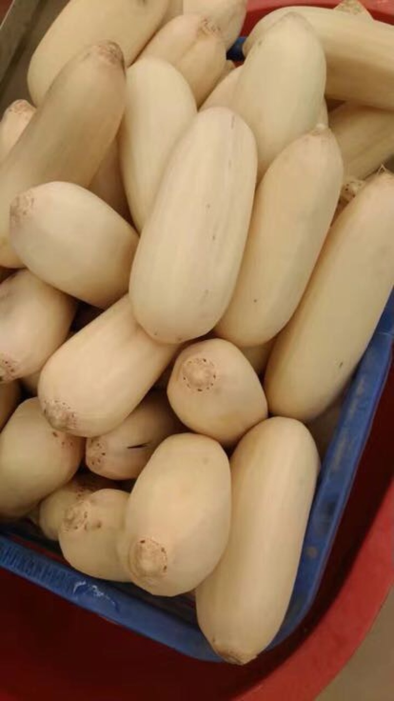 藕盒包装