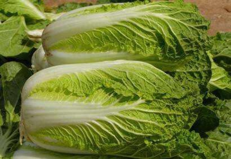 娃娃菜8两起