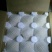 蒲城酥梨200~250g纸袋