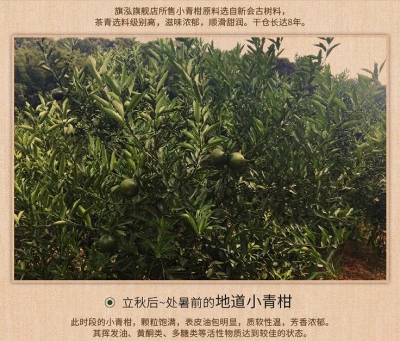 普洱茶一级
