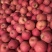 红富士苹果，陕西纸袋红富士苹果大量有货，欢迎采购