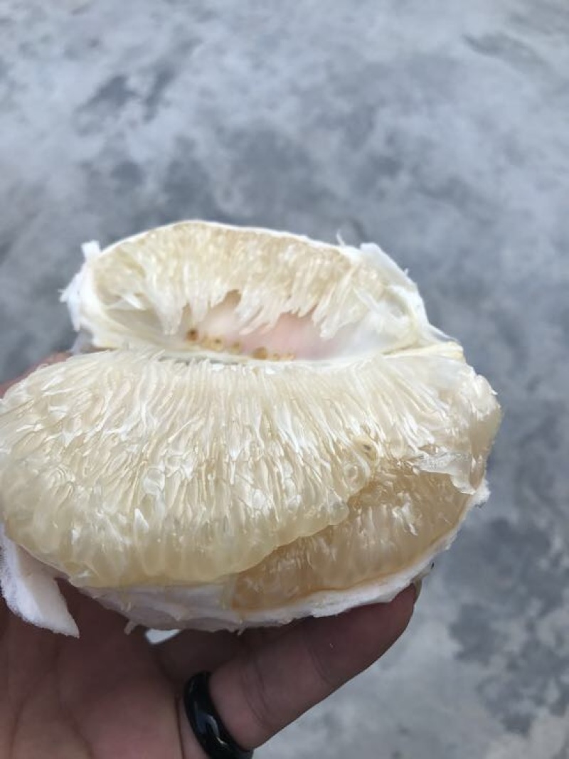 贡水白柚2斤以上