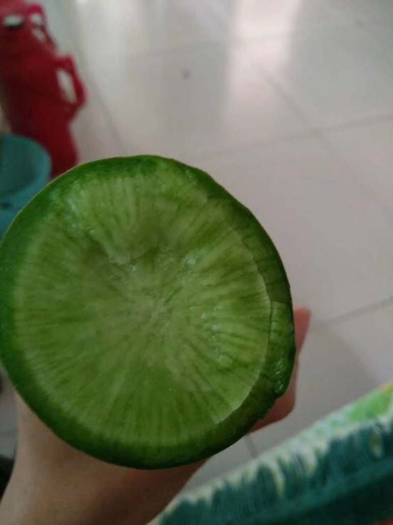 青萝卜
