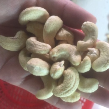 腰果