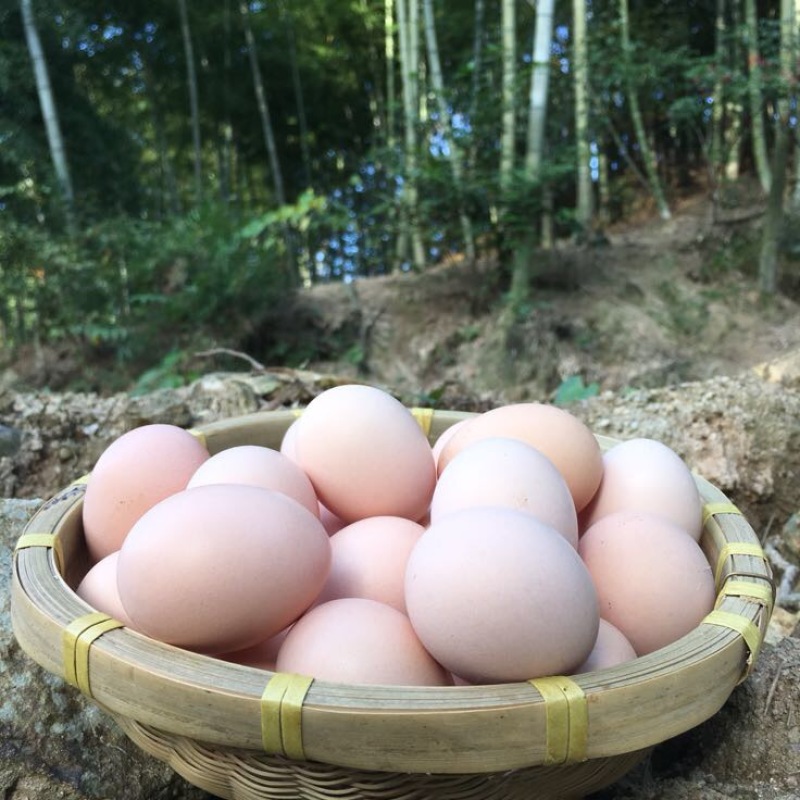 土鸡蛋40~50g食用