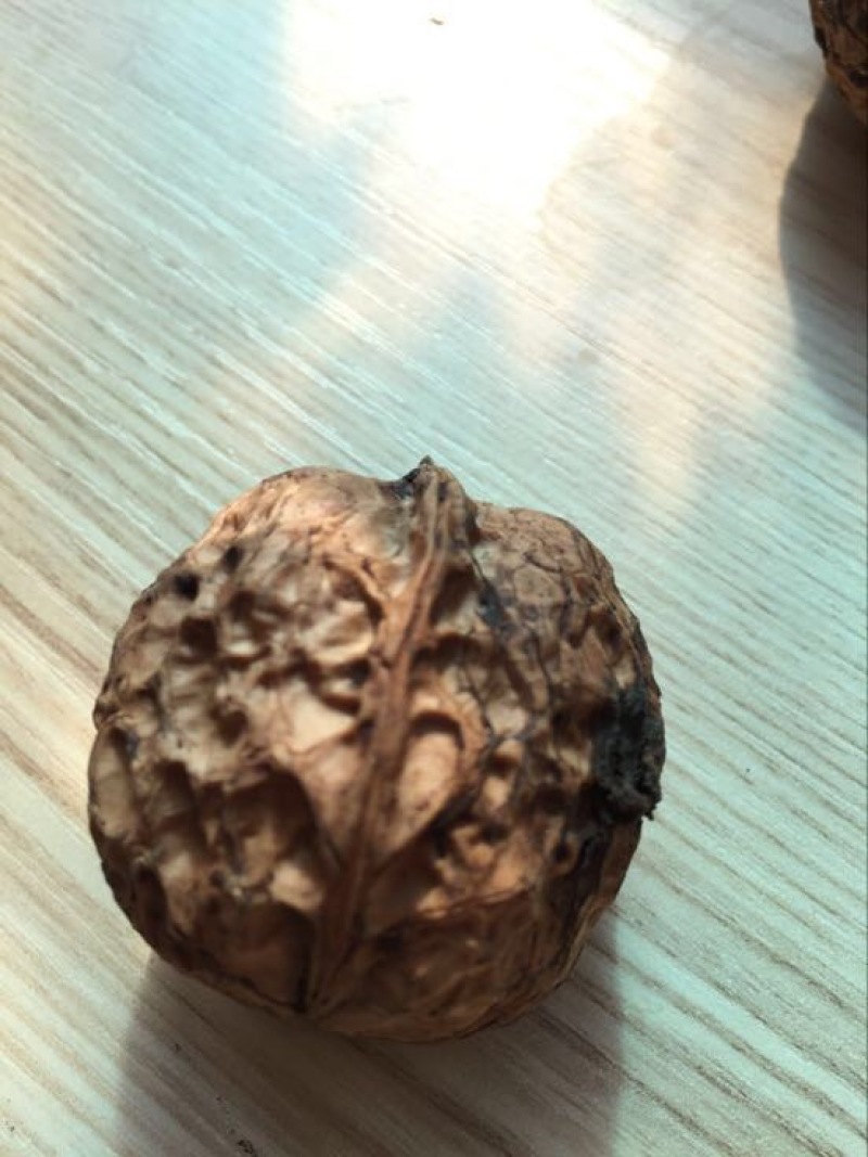 薄皮核桃30mm以上去皮湿