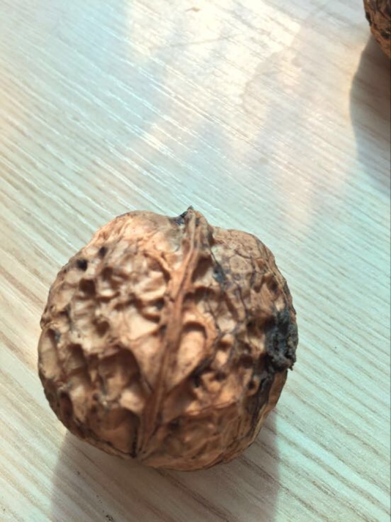 薄皮核桃30mm以上去皮湿