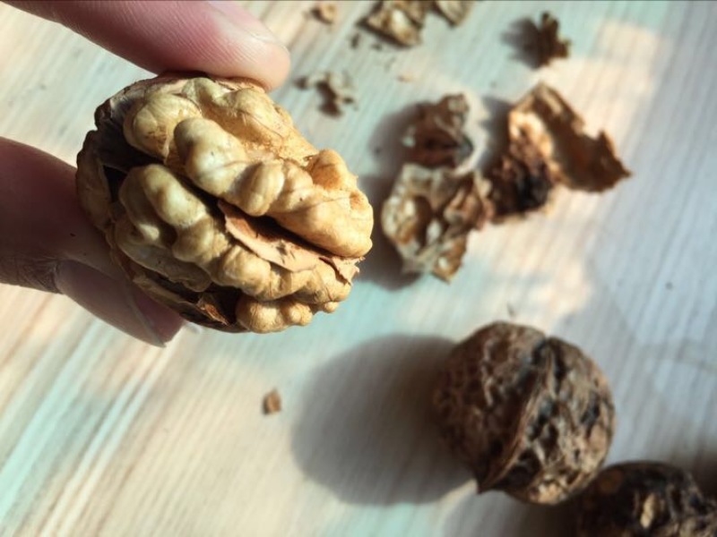 薄皮核桃30mm以上去皮湿