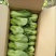 小油菜1两以上
