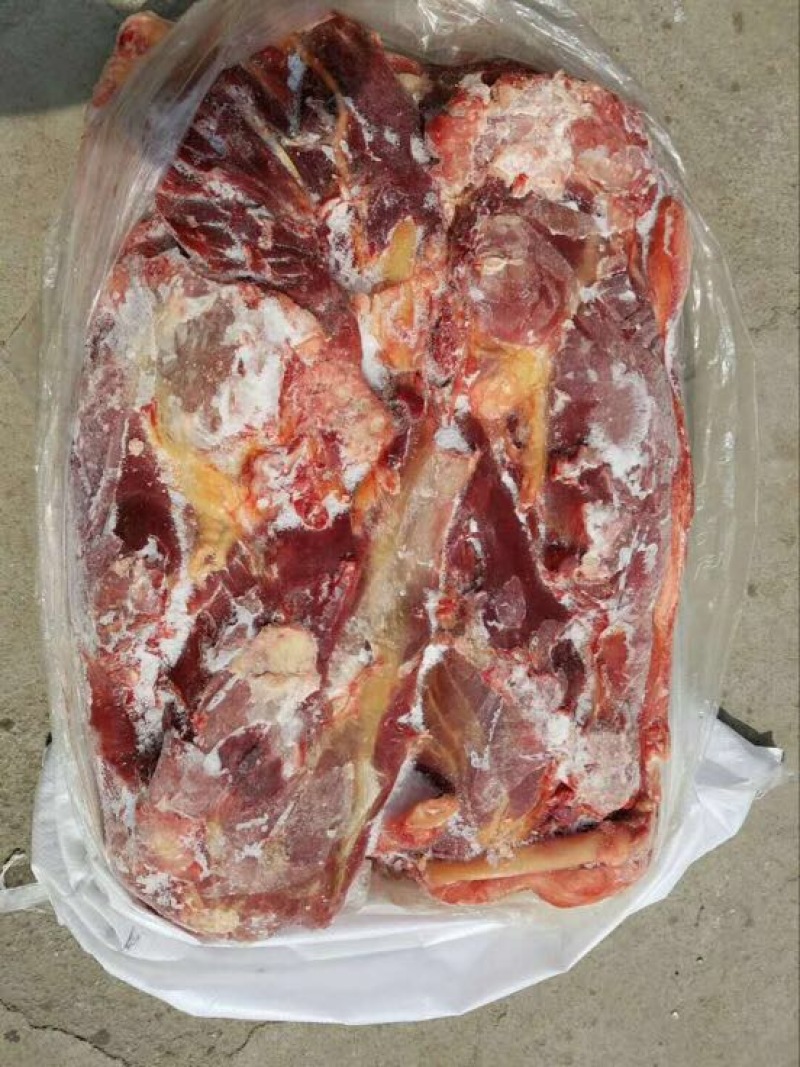 马肉冷冻
