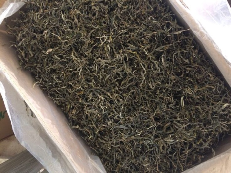 普洱茶三级