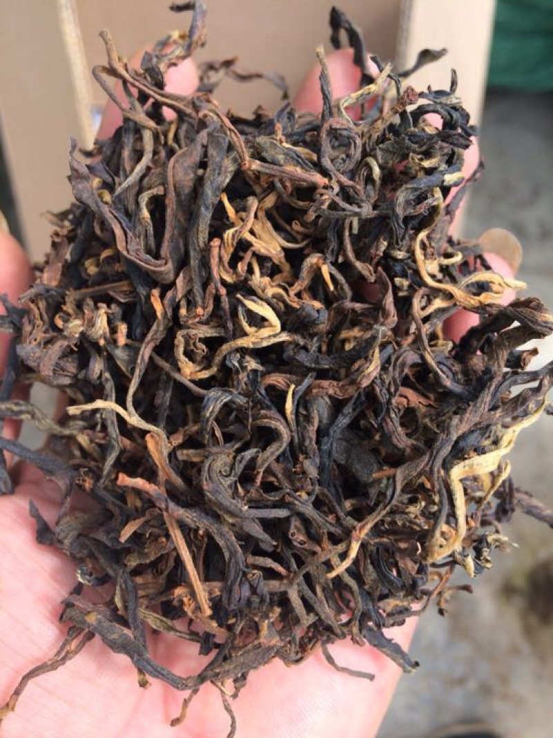 普洱茶三级