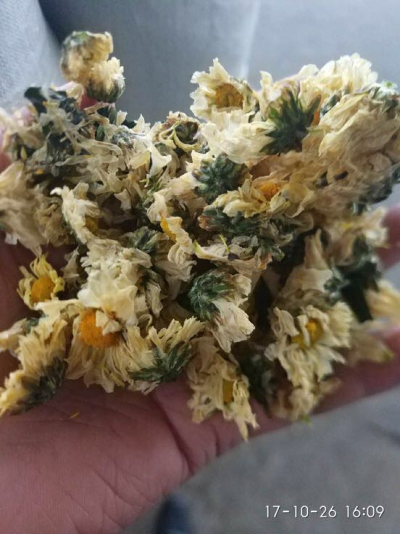 菊花茶一级