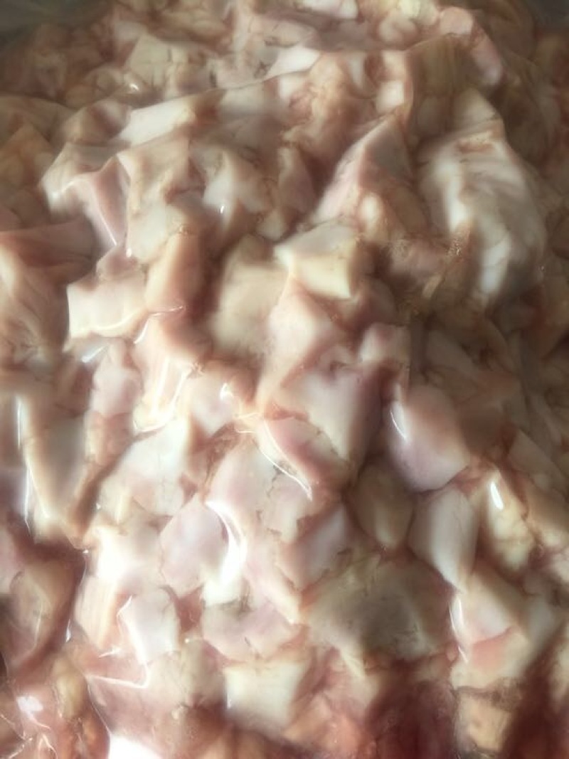 猪肚子