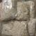 扇贝食用鲜活0.1只/kg以下