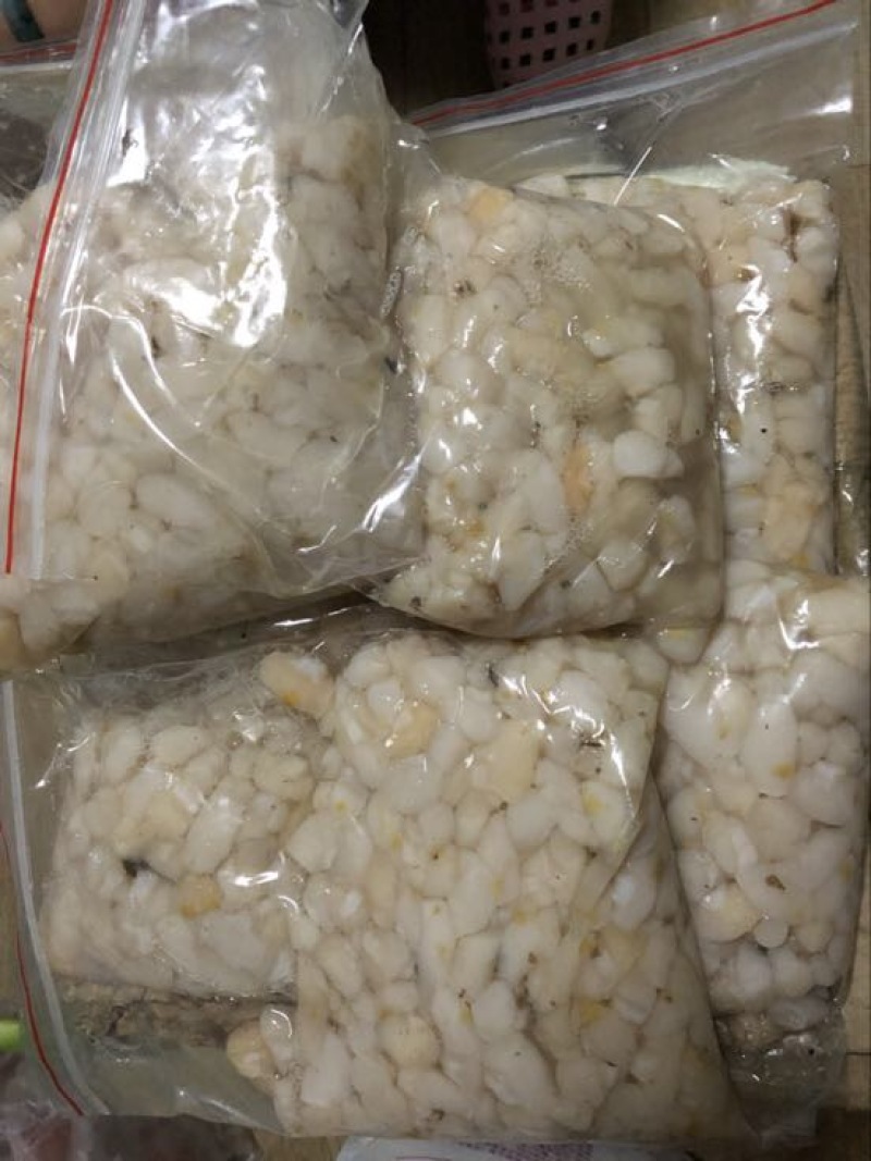 扇贝食用鲜活0.1只/kg以下