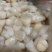 扇贝食用鲜活0.1只/kg以下