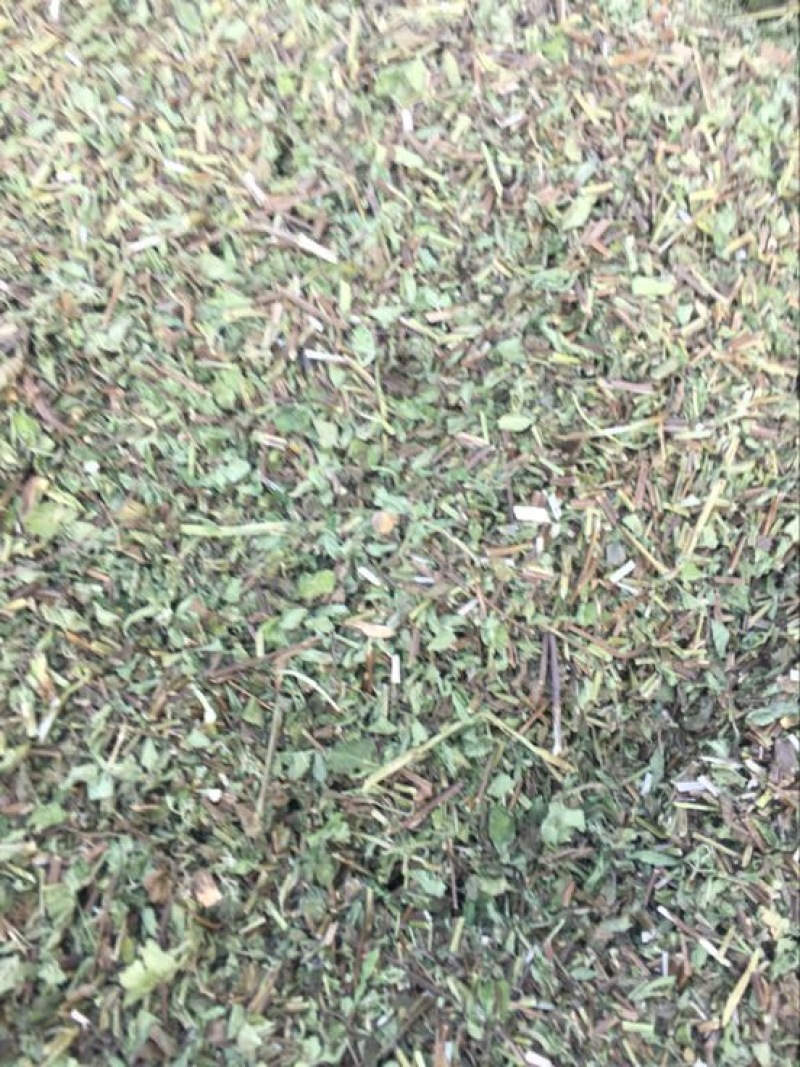 薄荷统片