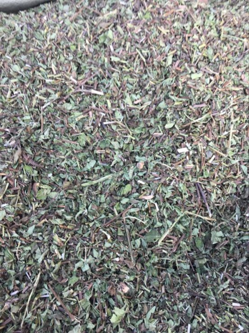 薄荷统片