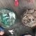 远海梭子蟹食用