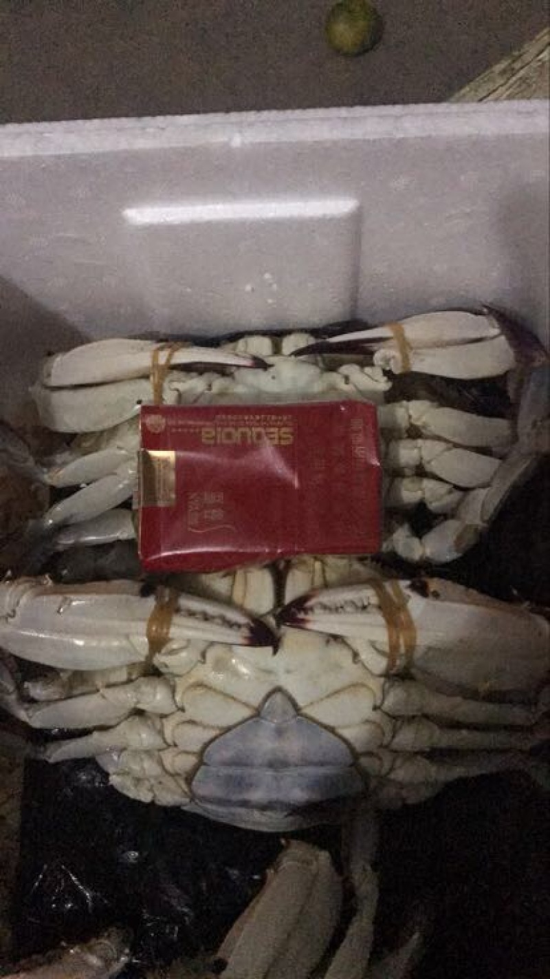 远海梭子蟹食用