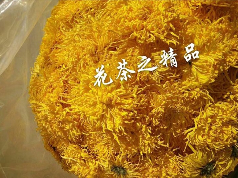 菊花茶特级
