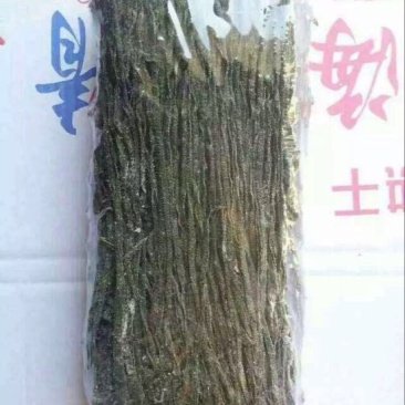 干海带丝厂家直销海带丝烘干海带丝盐渍脱水海带
