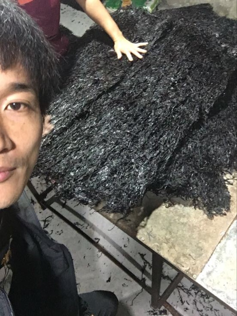 坛紫菜供应无杂质方形头水紫菜批发紫菜