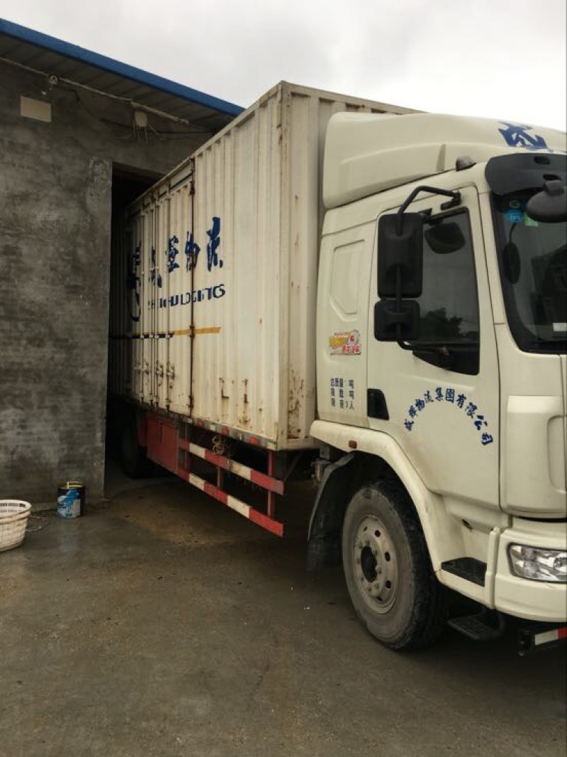 供应自产自销优惠福建批发无沙干海带长条的干货特产