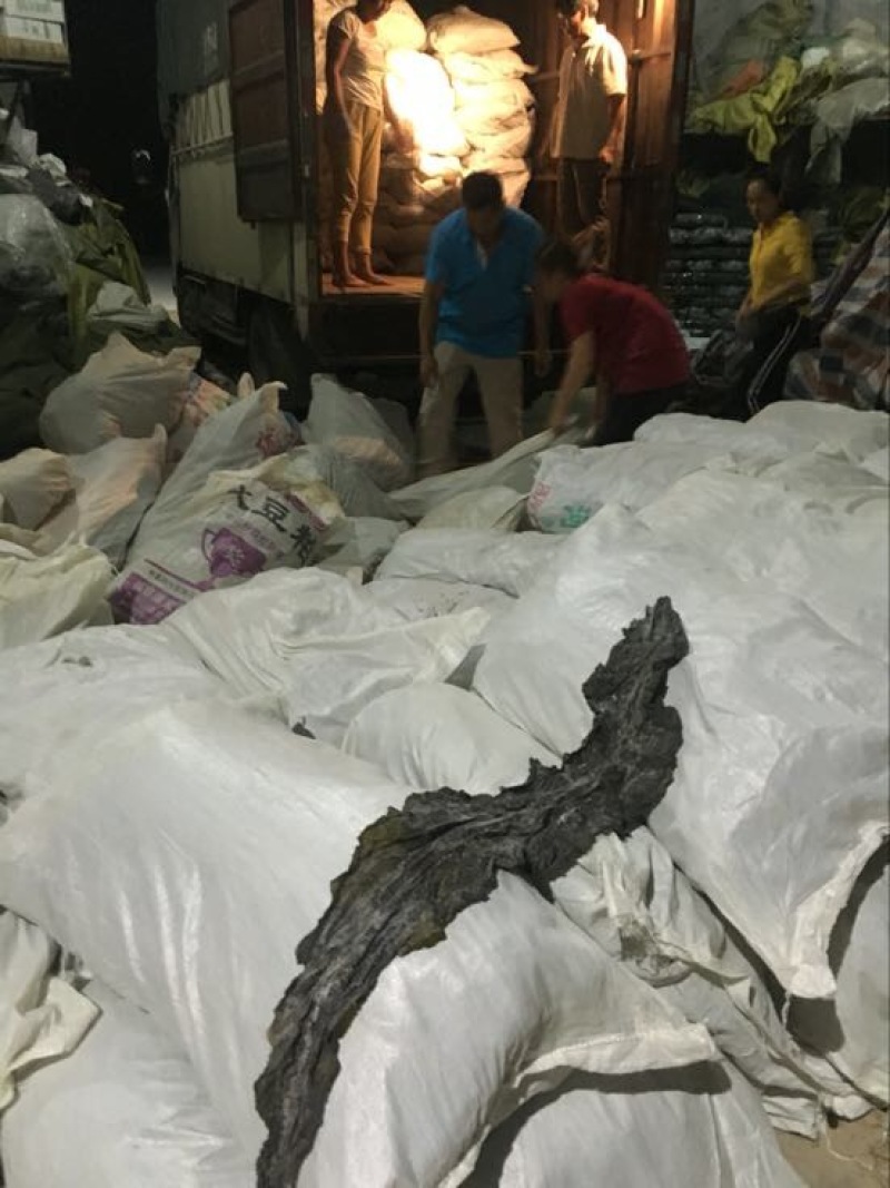 供应自产自销优惠福建批发无沙干海带长条的干货特产