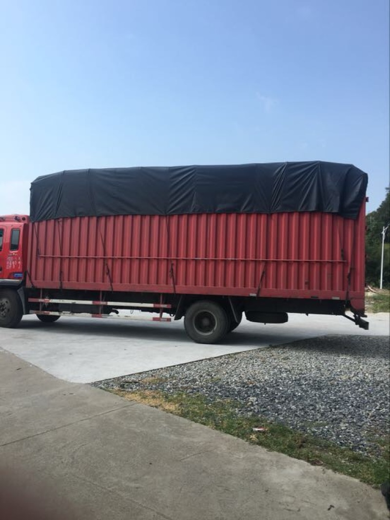 供应自产自销优惠福建批发无沙干海带长条的干货特产