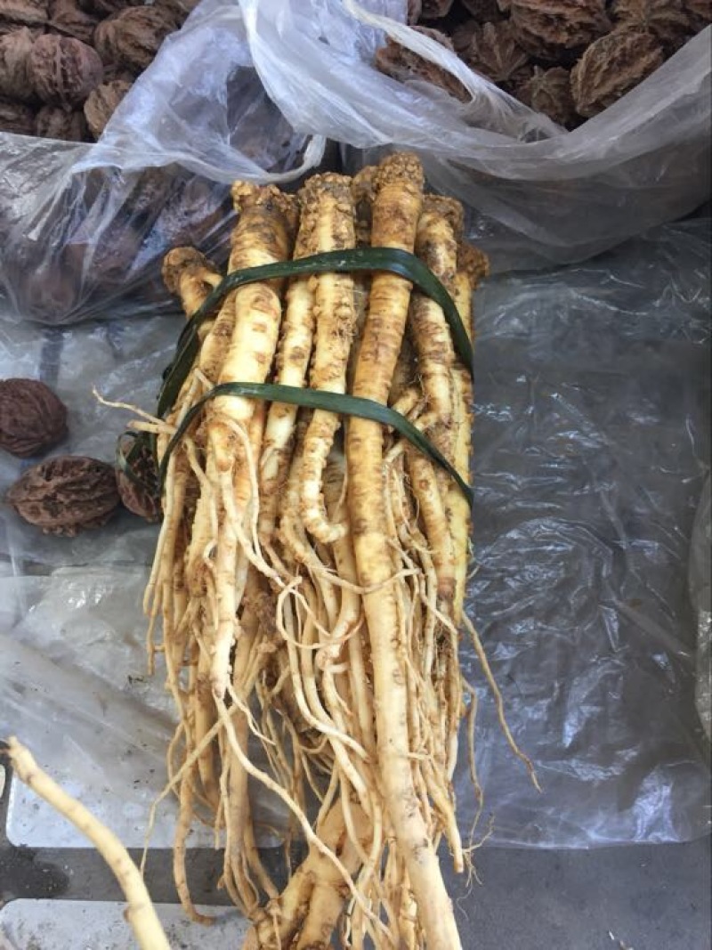 太子参