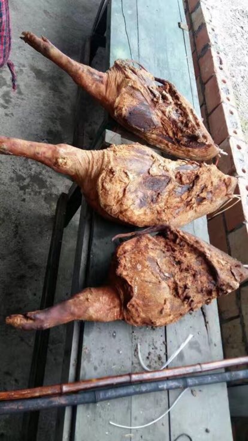 腊猪嘴散装
