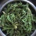 东台荠菜野生荠菜种植荠菜当季时令新鲜蔬菜现挖