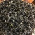 普洱茶特级