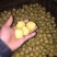 豆腐泡