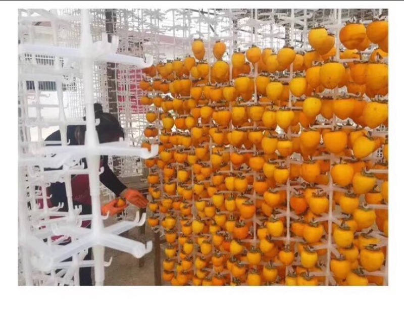 柿饼1~2两