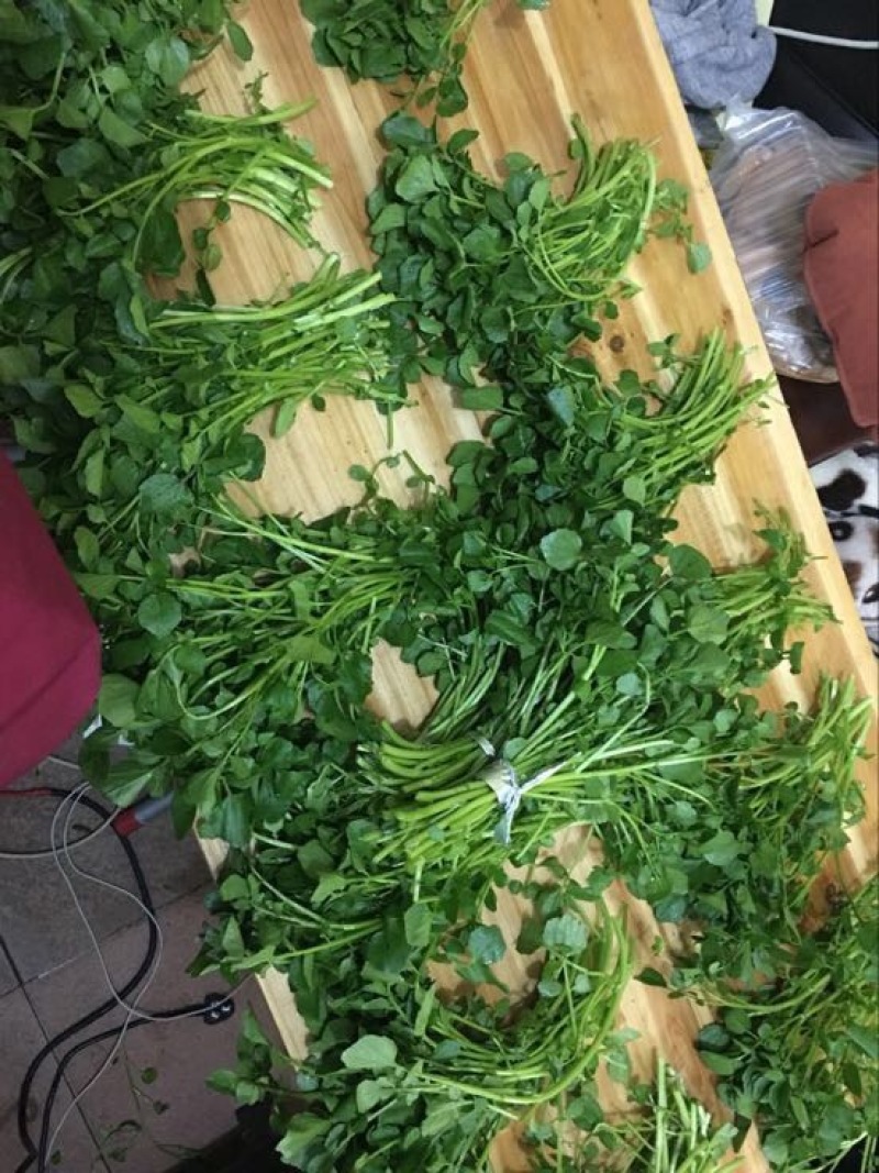 豆瓣菜无公害蔬菜