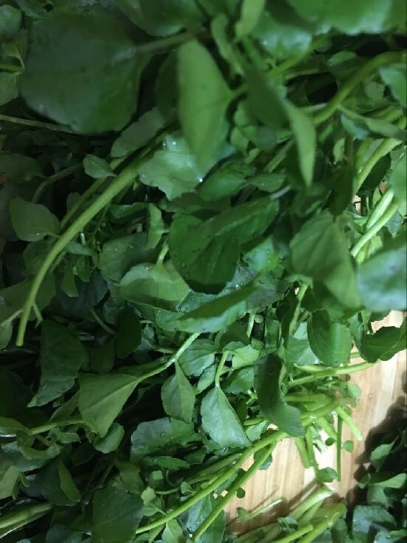 豆瓣菜无公害蔬菜