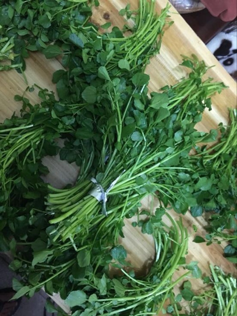 豆瓣菜无公害蔬菜