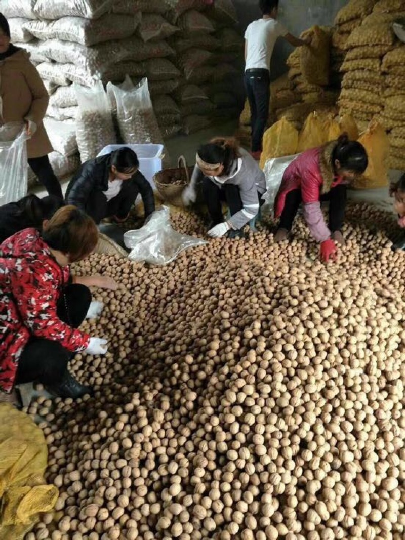 核桃去皮40mm以上干