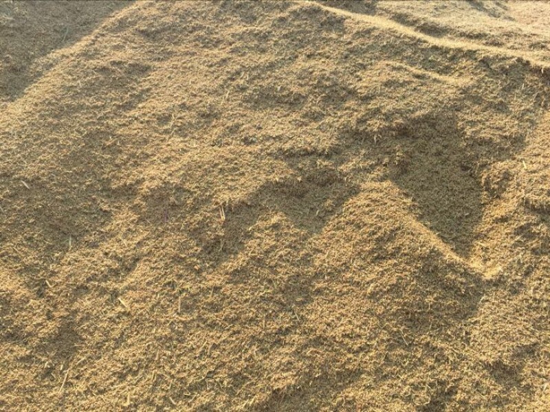 杂交稻1级
