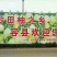 沙田柚2斤以上