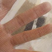 塑料温室大棚系列防虫网捕虫网纱网网子薄纱网