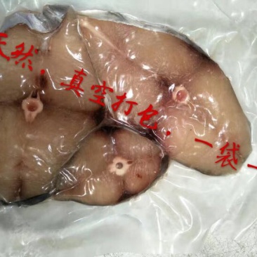 北部湾天然新鲜马鲛鱼