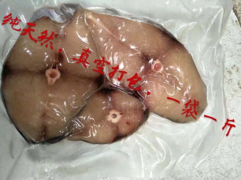 北部湾天然新鲜马鲛鱼
