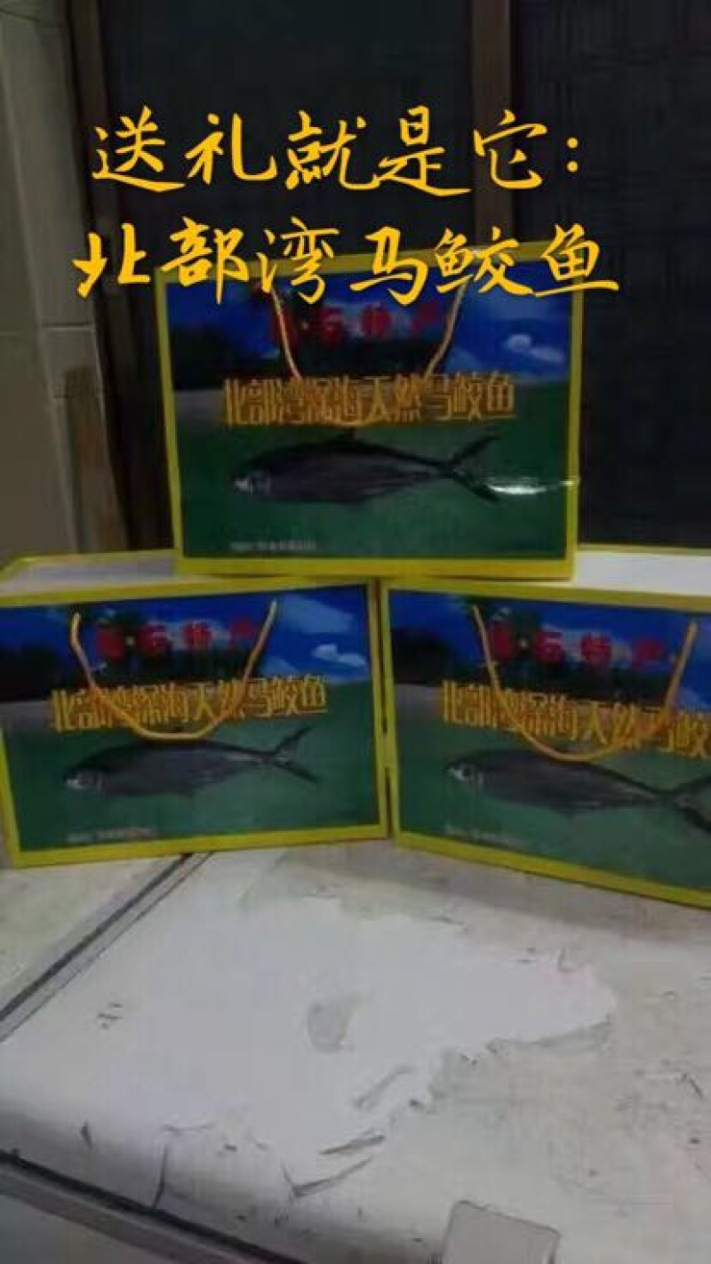 北部湾天然新鲜马鲛鱼