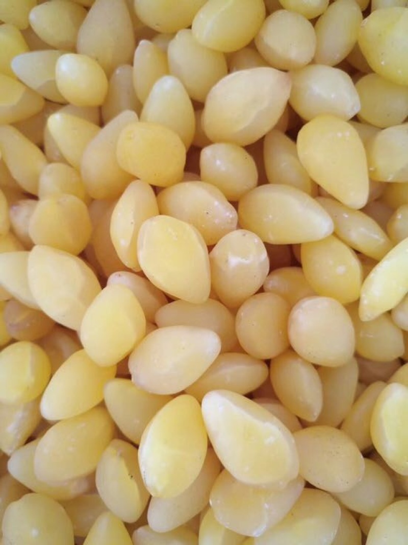 白果