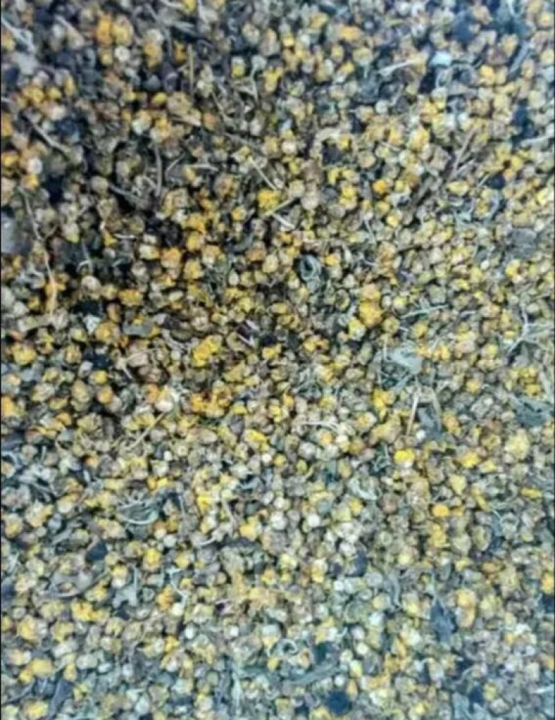 野菊花散装